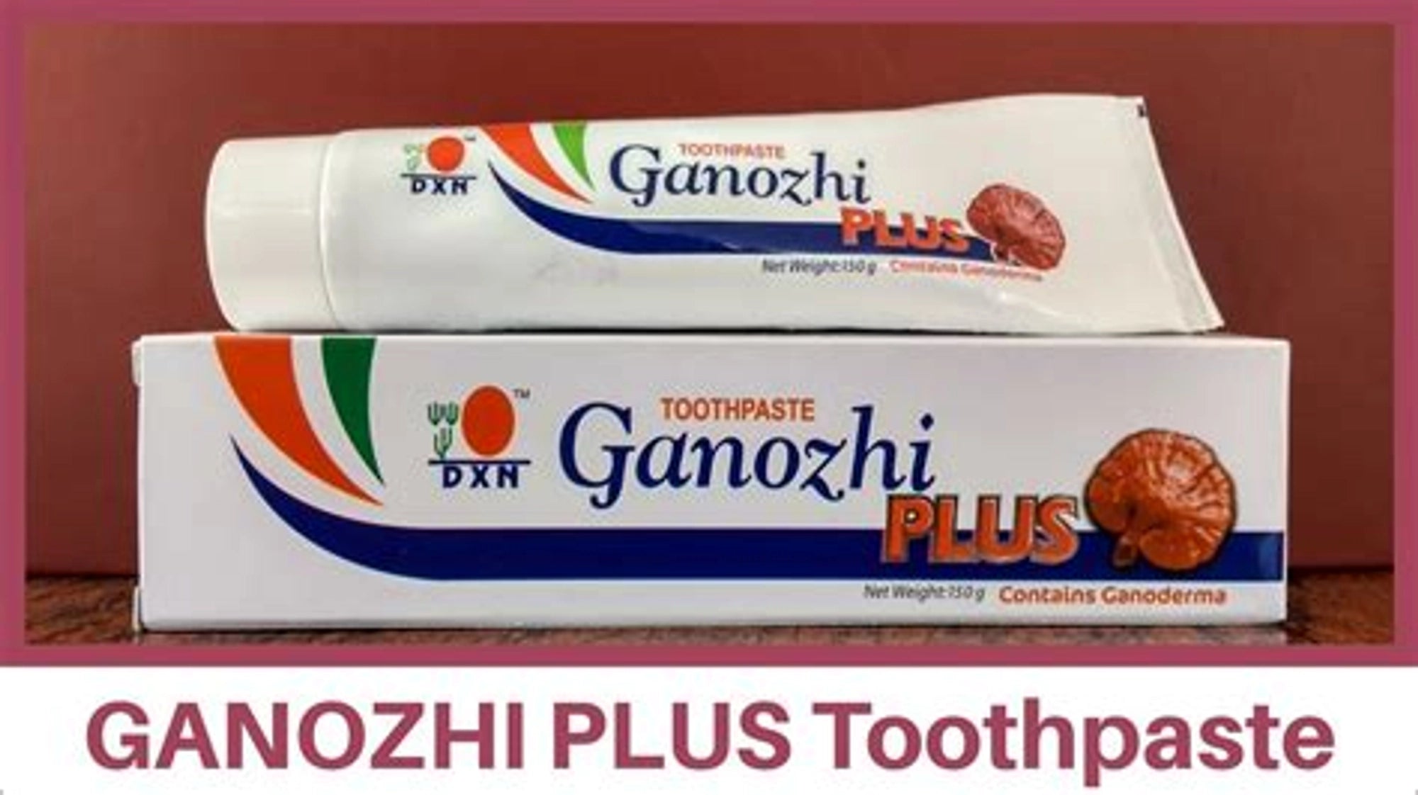 DXN GANOZHI TOOTHPASTE PACK OF 1