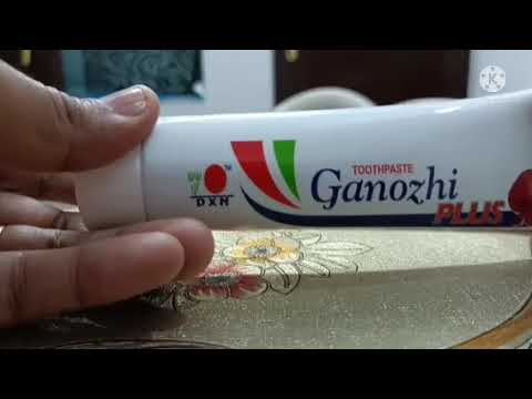 DXN GANOZHI TOOTHPASTE PACK OF 1